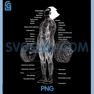Anime Muscle Anatomy Chart PNG, Gym and Workout Motivation PNG
