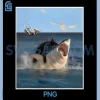Cat Biting Shark Cool Fat Cat PNG, Funny Art & Cat Lover PNG 2 Cat Biting Shark Cool Fat Cat PNG, Funny Art & Cat Lover PNG