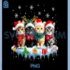 Cat Christmas Light Funny PNG, Reindeer Santa Christmas Cat PNG