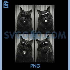 Black Cat with Sunglasses PNG, Feline Animals Photo Booth PNG