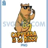 Col Rizzy Capybara Fun Meme PNG, Capybara Holiday Swag PNG 2 Col Rizzy Capybara Fun Meme PNG, Capybara Holiday Swag PNG