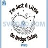 Im Just A Little On Hedge Today PNG, Hedgehog Lover Animal Pun PNG