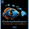 Humuhumunukunukuapuaa Triggerfish Hawaii PNG, Hawaiian Fish PNG 1 Humuhumunukunukuapuaa Triggerfish Hawaii PNG, Hawaiian Fish PNG