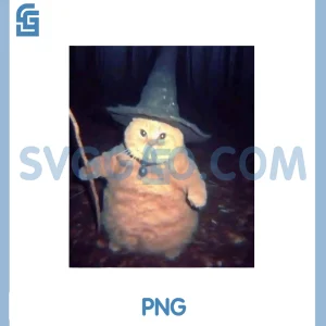 Wizard Cat Weird PNG, Funny Halloween Cat Meme PNG