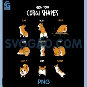 Know Your Corgi Shapes PNG, Animal Funny PNG