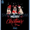 Cute Pug Christmas Trio PNG, Merry Christmas Dog Lovers PNG