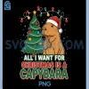 Retro Capybara Christmas PNG, All I Want is A Capybara Funny PNG