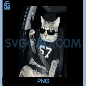 67 Cat Wearing Sunglasses PNG, Gen Alpha Funny PNG, Six Seven 6 7 Meme PNG