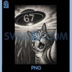 67 Meme Cat Selfie UFO PNG, Funny Cat 6 7 PNG